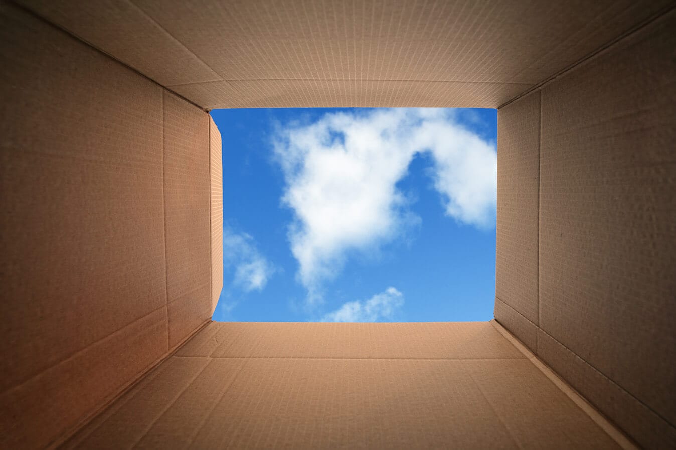 View from inside a cardboard box looking up at sky
